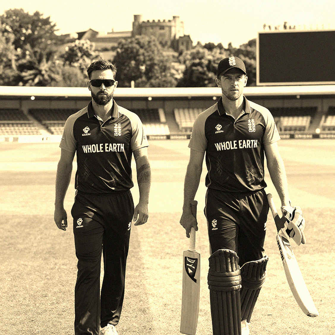The Lesson of Zero: When Cricket's Data Stream Goes Silent