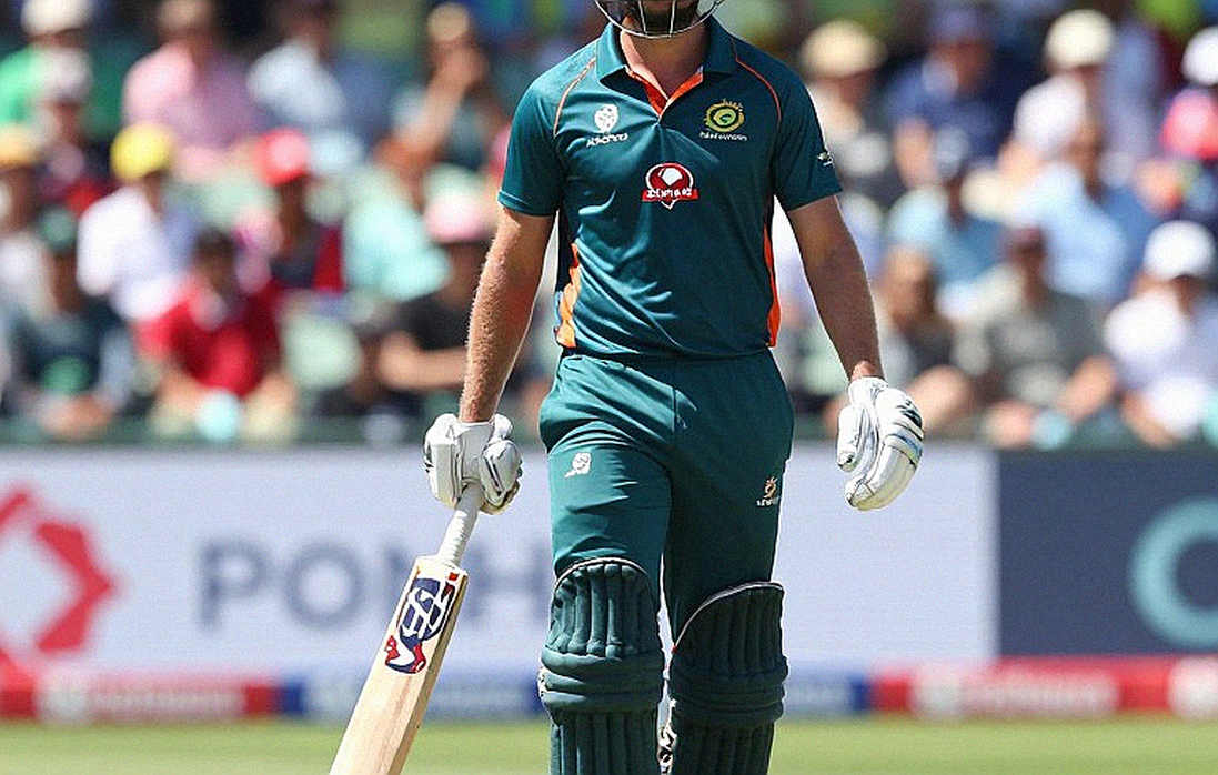 Cricket's On-Chain Experiment: The Ledger That Could Not Hold the Festival Cricket's On-Chain Experiment: The Ledger That Could Not Hold the Festival